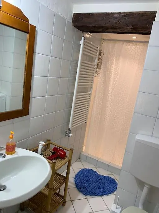 Apartment Calle Dei Furlani - Appartamento Con Cortile Venice